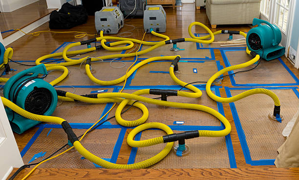 Professional Crawl Space Water Removal technician working in Sudbury, MA